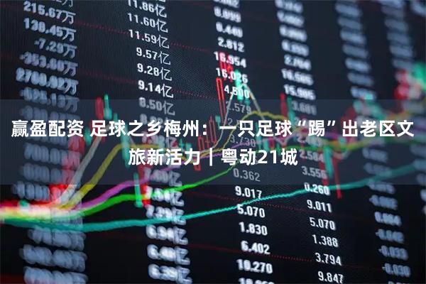赢盈配资 足球之乡梅州：一只足球“踢”出老区文旅新活力｜粤动21城