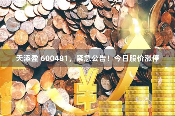 天添盈 600481，紧急公告！今日股价涨停