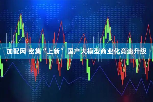 加配网 密集“上新” 国产大模型商业化竞速升级