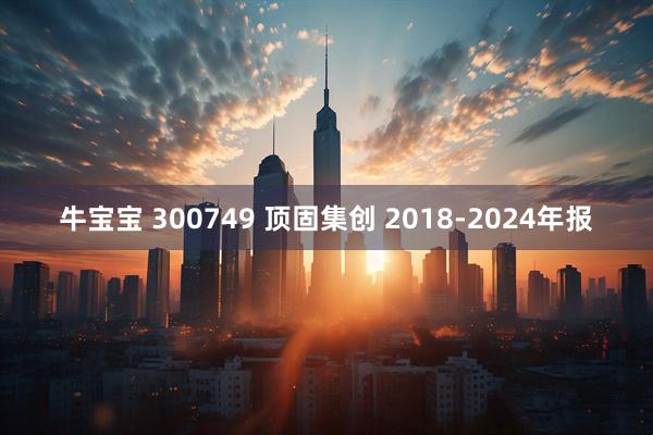 牛宝宝 300749 顶固集创 2018-2024年报