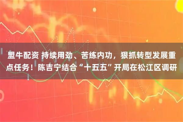盟牛配资 持续用劲、苦练内功，狠抓转型发展重点任务！陈吉宁结合“十五五”开局在松江区调研