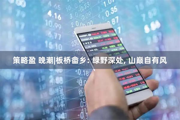 策略盈 晚潮|板桥畲乡: 绿野深处, 山巅自有风
